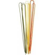 Tricolor Linguine Pasta (250gms, SproutsOG)